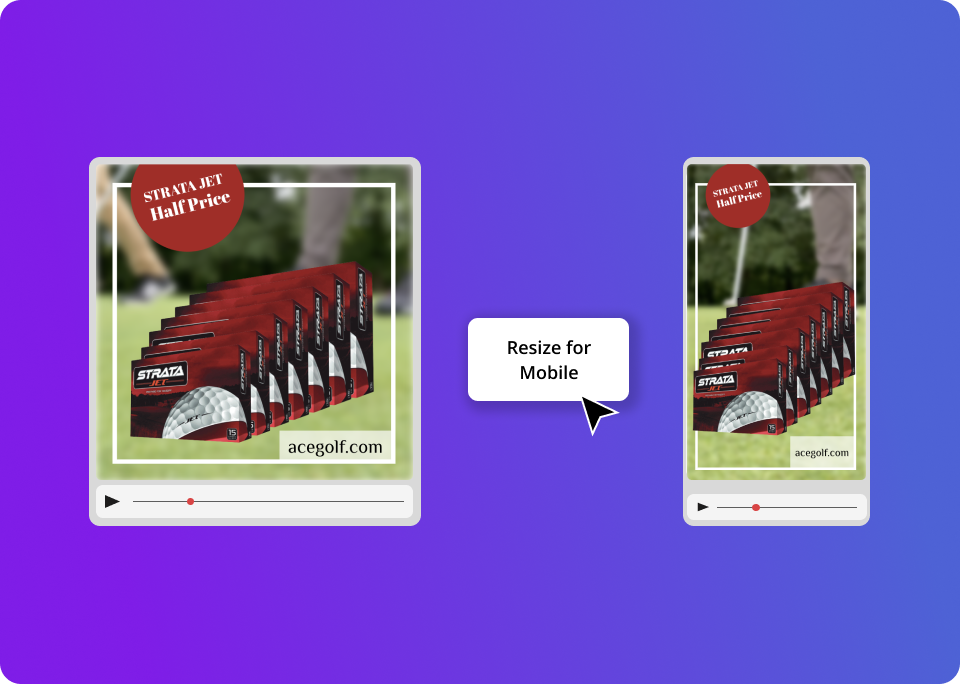 Auto-Resize video ads with Vidds video ads maker
